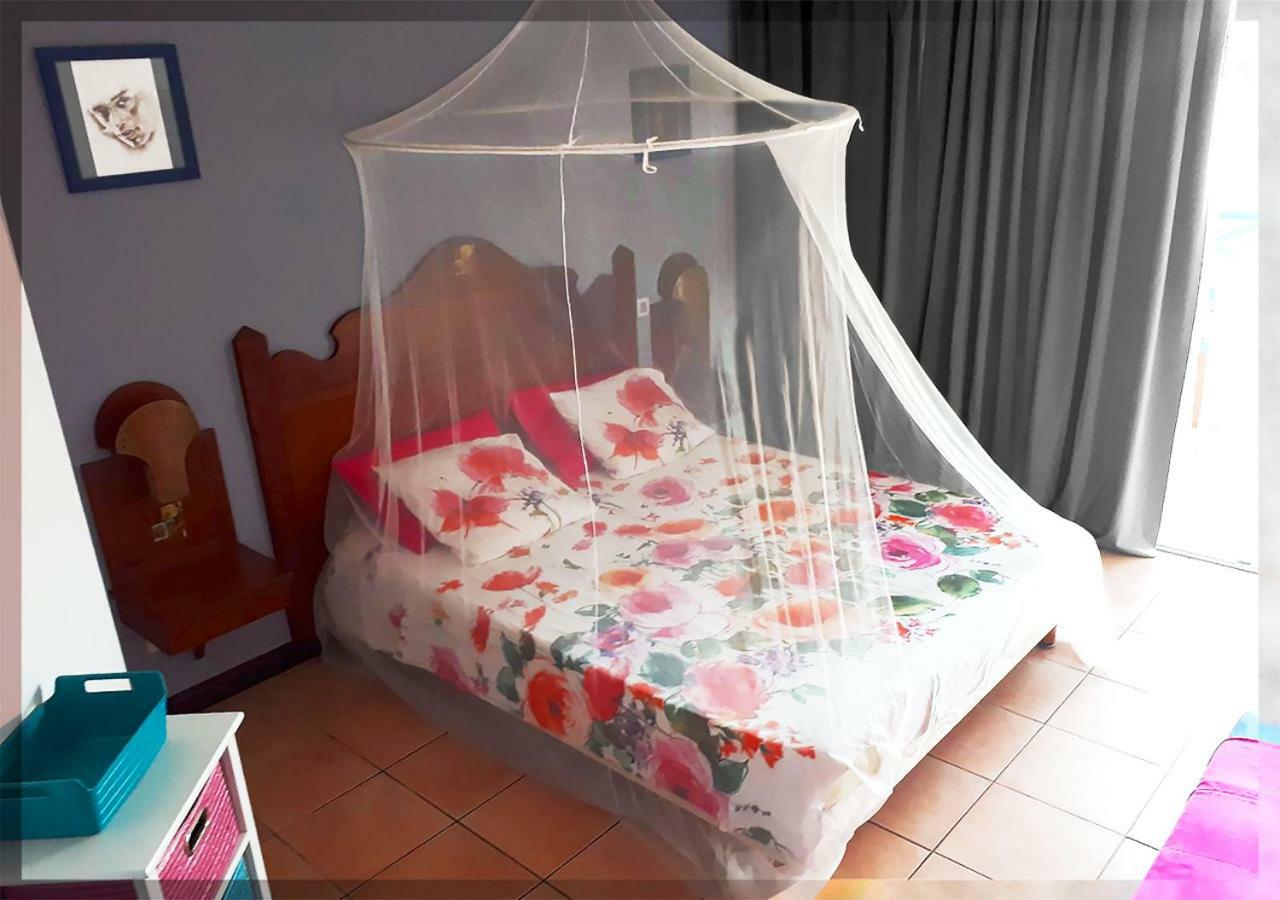 Ti Studio Creole Mahogany Sainte-Anne Dış mekan fotoğraf