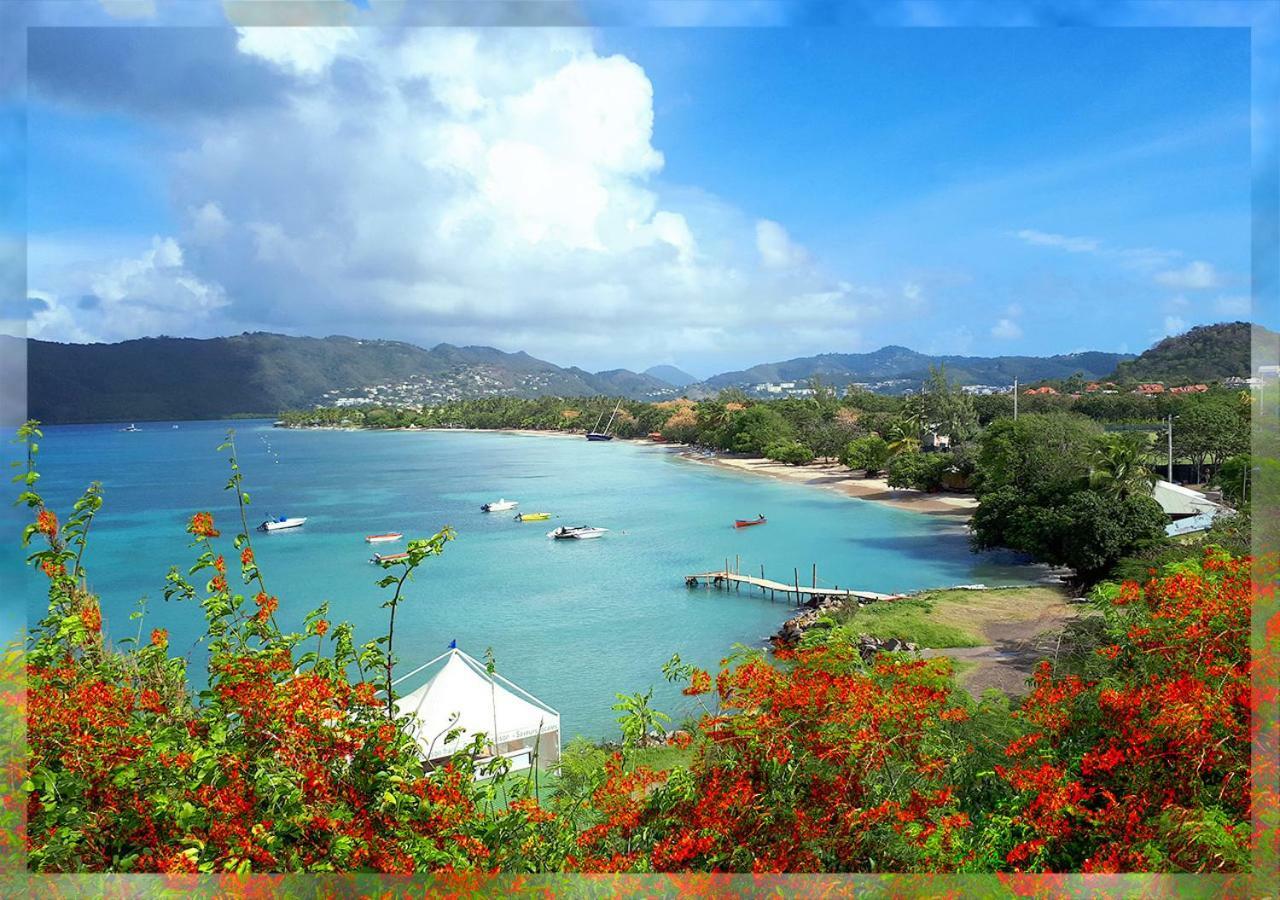Ti Studio Creole Mahogany Sainte-Anne Dış mekan fotoğraf